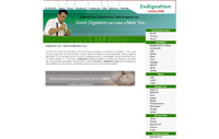 Indigestion Cure by indigestion-cure.com