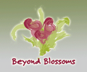 Beyond Blossoms.com